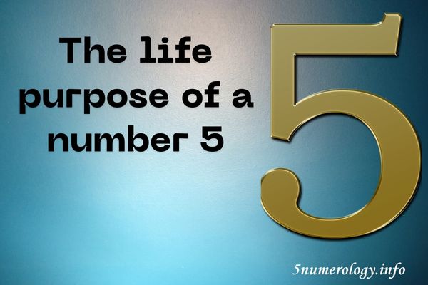 life purpose of a number 5